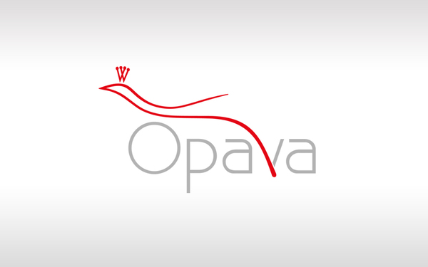 Opavští zastupitelé budou jednat 23. března